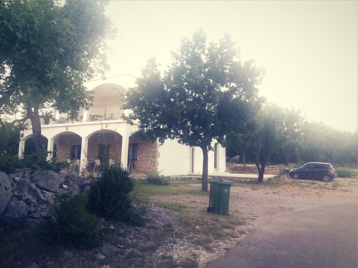 Apartmani Lucija 马斯莱尼察 外观 照片